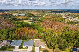 26249 Sword Dancer Dr, Wesley Chapel, FL 33544 - Photo 61