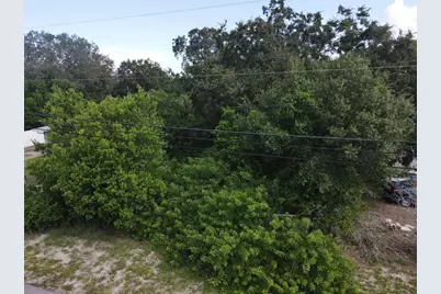 Berkley Avenue, Tarpon Springs, FL 34689 - Photo 3