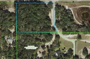 County Line Road Hwy, Hudson, FL 34667 - Photo 1