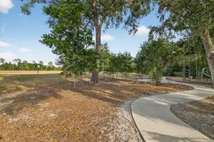 6115 Apple Snail Ave, New Port Richey, FL 34653 - Photo 53