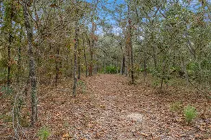 14235 Hurricane Dr, Weeki Wachee, FL 34614 - Photo 45