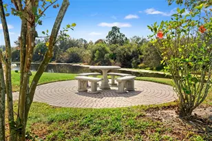 18118 Sweet Jasmine Dr, Tampa, FL 33647 - Photo 61