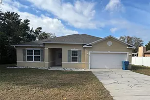 1159 MacFarlane Ave, Spring Hill, FL 34608 - Photo 1