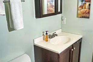 20921 Haulover Cove, Lutz, FL 33558 - Photo 21