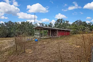 28470 Soaring Hawk Ln, Brooksville, FL 34602 - Photo 3