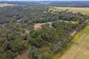 28470 Soaring Hawk Ln, Brooksville, FL 34602 - Photo 37