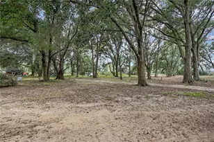 28470 Soaring Hawk Ln, Brooksville, FL 34602 - Photo 29