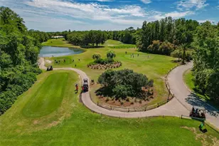 1350 Dartford Dr, Tarpon Springs, FL 34688 - Photo 67