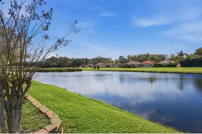 1350 Dartford Drive, Tarpon Springs, FL 34688 - Photo 47