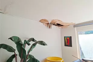 5506 Carlton Rd, New Port Richey, FL 34652 - Photo 31