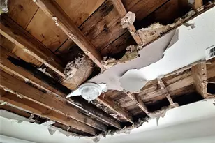 5506 Carlton Rd, New Port Richey, FL 34652 - Photo 25