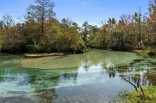 7268 Crystal Spring Run, Weeki Wachee, FL 34607 - Photo 97