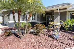 1170 Falcon Ridge Ln, Palm Harbor, FL 34683 - Photo 3