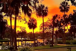 7342 Grand Blvd, New Port Richey, FL 34652 - Photo 3