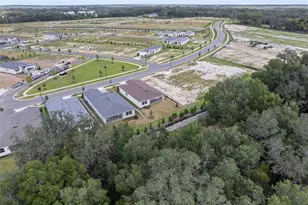 940 Club Cresswind Dr, Lady Lake, FL 32159 - Photo 39