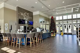 17218 Balance Cv, Land O Lakes, FL 34638 - Photo 39