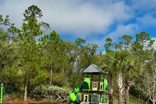 17218 Balance Cv, Land O Lakes, FL 34638 - Photo 49