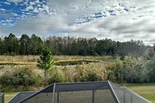 17218 Balance Cv, Land O Lakes, FL 34638 - Photo 23