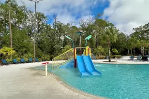 17218 Balance Cv, Land O Lakes, FL 34638 - Photo 47