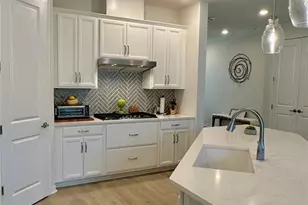 17218 Balance Cv, Land O Lakes, FL 34638 - Photo 13