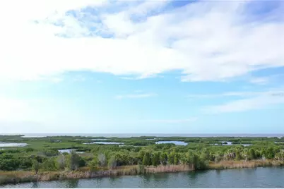 Lugustrum Drive, Hernando Beach, FL 34607 - Photo 3