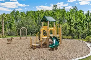 2476 Riversong Ldg Ln, Wesley Chapel, FL 33543 - Photo 21