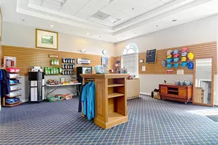 4217 Fishermans Lake Dr, Lutz, FL 33558 - Photo 79