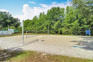 4217 Fishermans Lake Dr, Lutz, FL 33558 - Photo 85