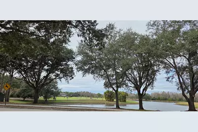 4217 Fishermans Lake Drive, Lutz, FL 33558 - Photo 11