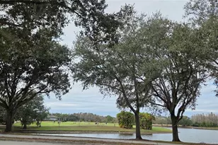 4217 Fishermans Lake Dr, Lutz, FL 33558 - Photo 11