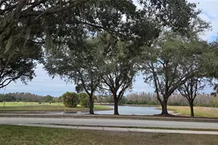 4217 Fishermans Lake Dr, Lutz, FL 33558 - Photo 9