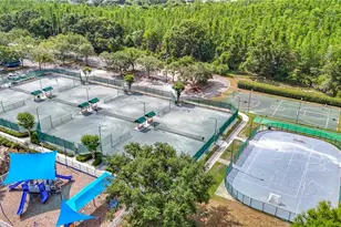 4217 Fishermans Lake Dr, Lutz, FL 33558 - Photo 91