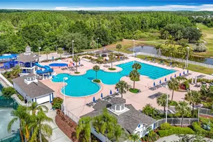 4217 Fishermans Lake Dr, Lutz, FL 33558 - Photo 29