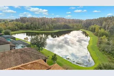 12718 Burns Drive, Odessa, FL 33556 - Photo 43