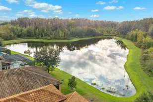 12718 Burns Dr, Odessa, FL 33556 - Photo 43