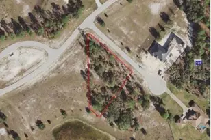 9361 Smooth Bark Ct, Weeki Wachee, FL 34613 - Photo 1