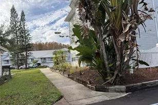 2210 Vista Del Sol Cir, Lutz, FL 33558 - Photo 23