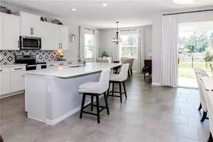 7629 Broad River Ave, Land O Lakes, FL 34638 - Photo 9