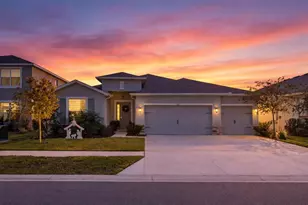 7629 Broad River Ave, Land O Lakes, FL 34638 - Photo 1