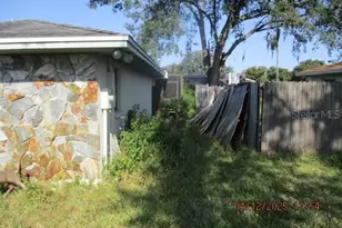 17849 Morninghigh Dr, Lutz, FL 33549 - Photo 3