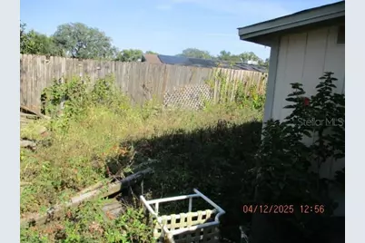 17849 Morninghigh Drive, Lutz, FL 33549 - Photo 5