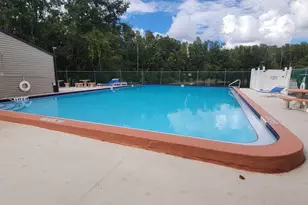 11411 Pike Ct, New Port Richey, FL 34654 - Photo 23