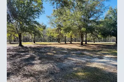 16226 41st Place, Wellborn, FL 32094 - Photo 3