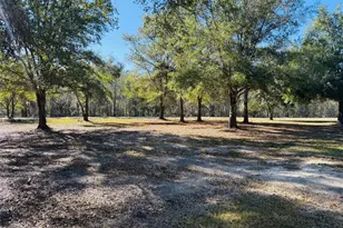 16226 41st Pl, Wellborn, FL 32094 - Photo 3