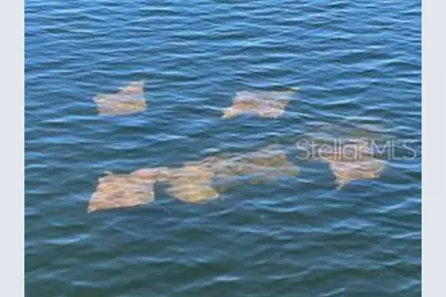 14217 Hendry Court, Hudson, FL 34667 - Photo 35