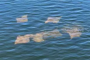 14217 Hendry Ct, Hudson, FL 34667 - Photo 35