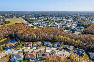 4731 Spring Side Dr, New Port Richey, FL 34653 - Photo 59