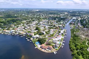 311 Morningside Dr, Palm Harbor, FL 34683 - Photo 45