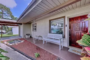 311 Morningside Dr, Palm Harbor, FL 34683 - Photo 3