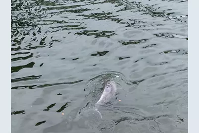 6432 Driftwood Drive, Hudson, FL 34667 - Photo 59